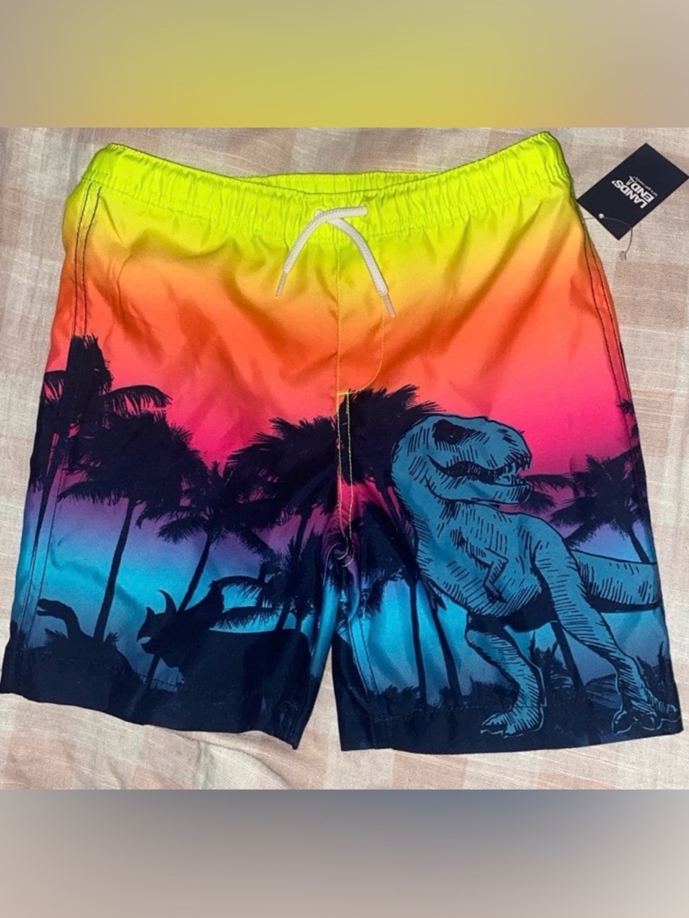 Lands' End Boys Swim Trunks w/ Dinosaur Print Sz S (6-7)